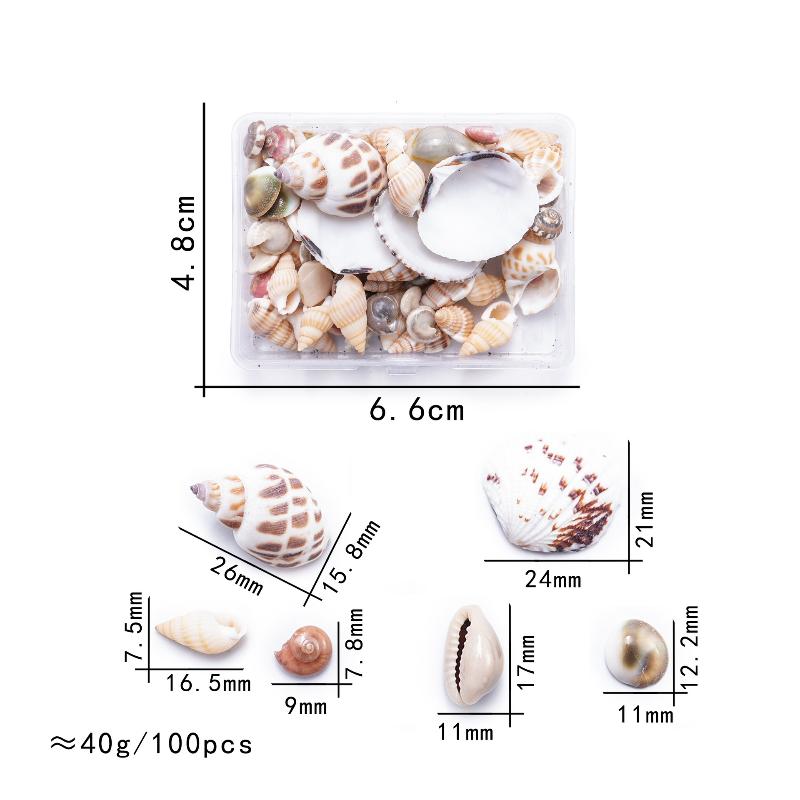 

1 Коробка Морские Ракушки Спиральные Ракушки Крошечные Океанские Спиральные Морские Ракушки Поделки Украшение для Аквариума Ландшафтные Аксессуары Реквизит для Фотографии