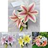 Artificial Lily 3d Printed Wedding Decorations For Hotel And Party