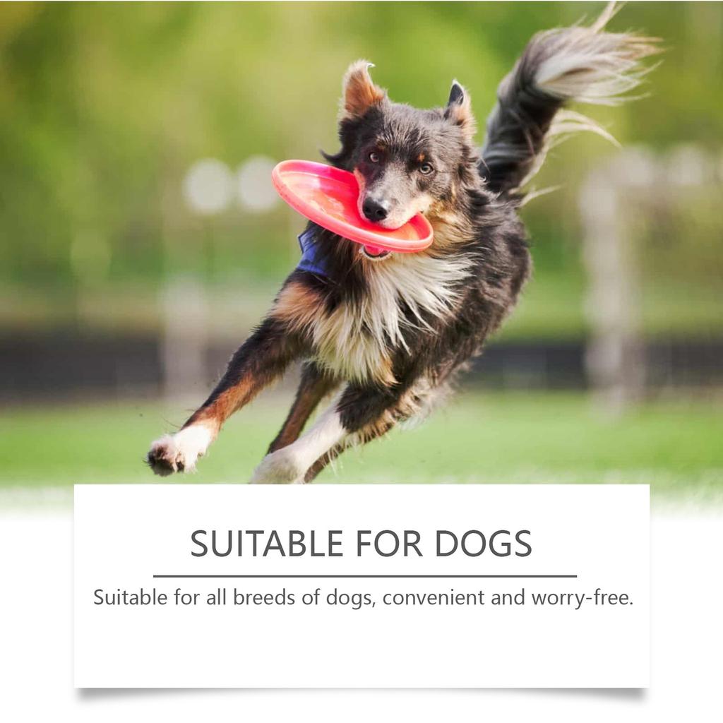Dog Probiotic Tablets Improve Intestinal Health And Promote Digestion And Absorption Of Pet Nutritional Supplements