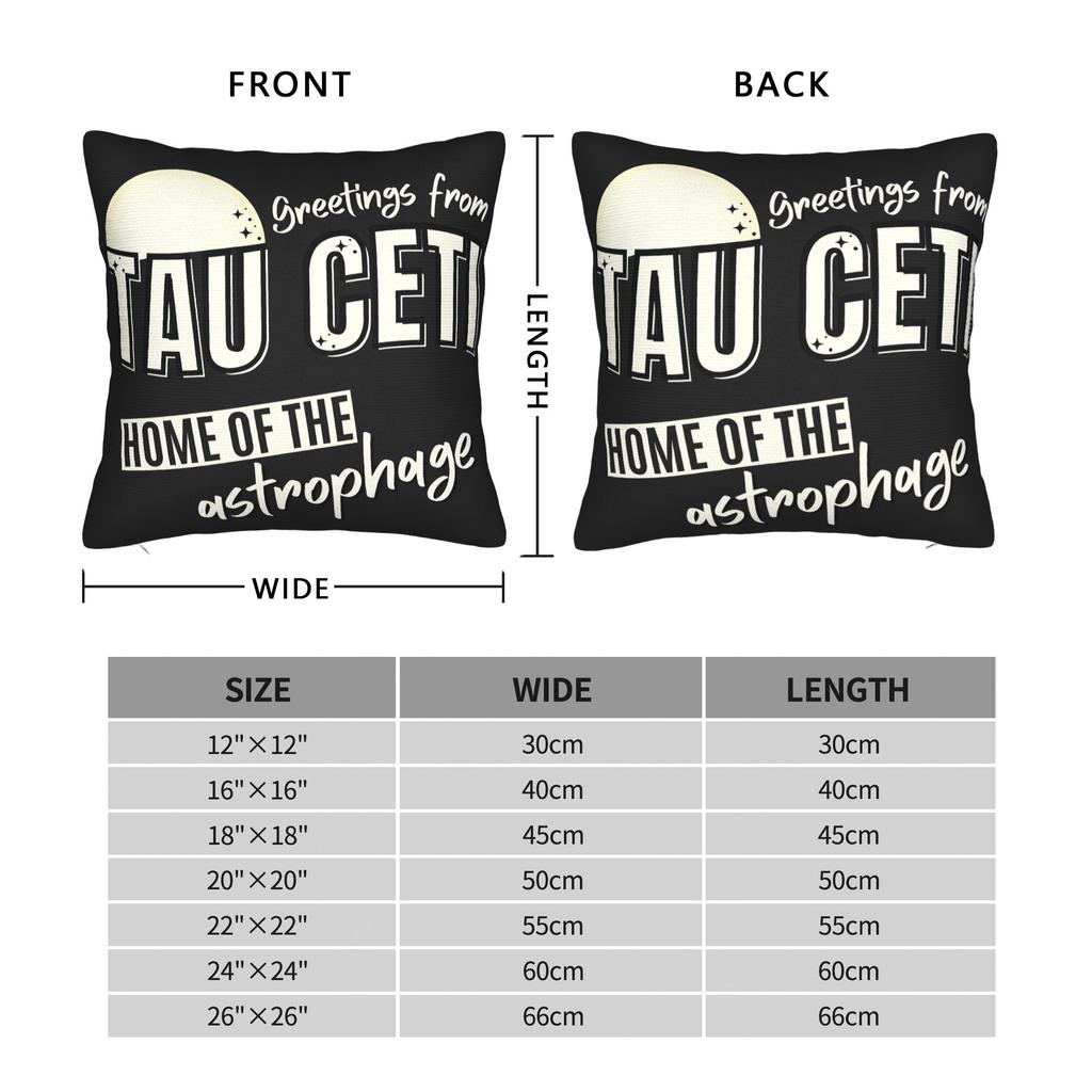 Project Tau Ceti Pillow Case Soft Pillow Cover For Living Room Bed Chair Vintage Pillowcases