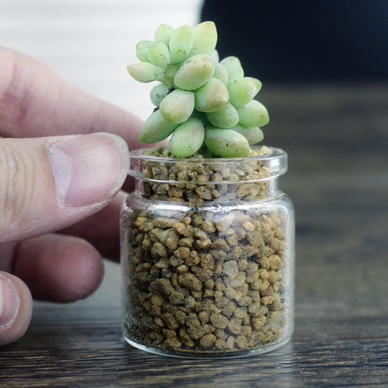 Charming Small Glass Cork Bottle for Seashells or Feather Collections