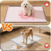 Tappetini per urina di cane in silicone per uso alimentare Riutilizzabili Impermeabili Tappetino per pipì per cani con clip di rinforzo per case con più animali domestici