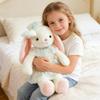 Plush Toys, Cute And Perfect Birthday Gifts For Friends And Classmates, Graduation Gifts
