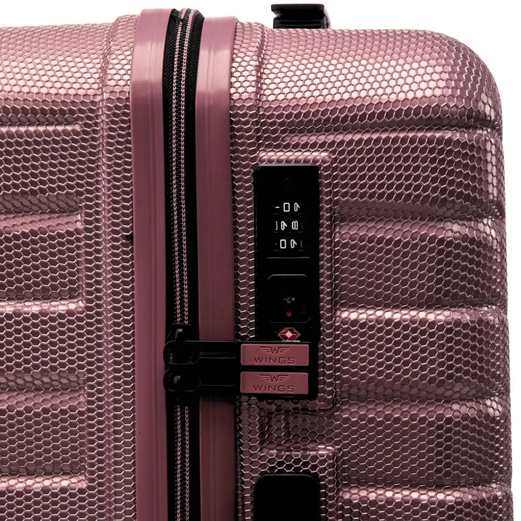 Set of 4 Wings Crake Suitcases // + Rose Gold Trunk