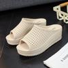 Cool Slippers Women Summer Slope Heel Thick Sole Wear Beach Shoes, Mesh Hollow Slippers Foreign Trade Wholesale