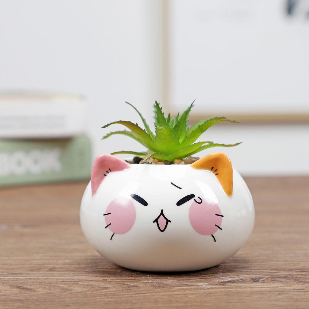 Table Decor Ornament Flower Planter Garden Supplies Bonsai Accessories Flowerpot Succulent Potted