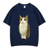 Cat Owl Funny Meowl Meme Brainrot Graphic Tshirts Unisex Unisex Fashion Short Sleeves Tshirt Cotton Oversized T Shirts Streetwear