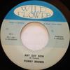 7inch Record FUNKY BROWN - Any Day Now / Sudden Stop WF1 Wild Flower 1975 Jamaica Reggae, Ska & Dub Used
