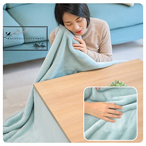 Dura-dry Kotatsu Comforter, Thin, Space-Saving, Square, Flannel Fabric, Anti-Static, Warm, Non-Shedding, 180*180cm