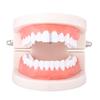 Teeth Braces Heart Shape Cubic Zirconia Men Women Hip Hop Vertical Stick Braces for Halloween
