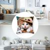 Adorable Cat Cute Pillow Case Short Plush Pillow Covers Sofa Decorative Gift Home Double-Sided Printing Cushion Cover