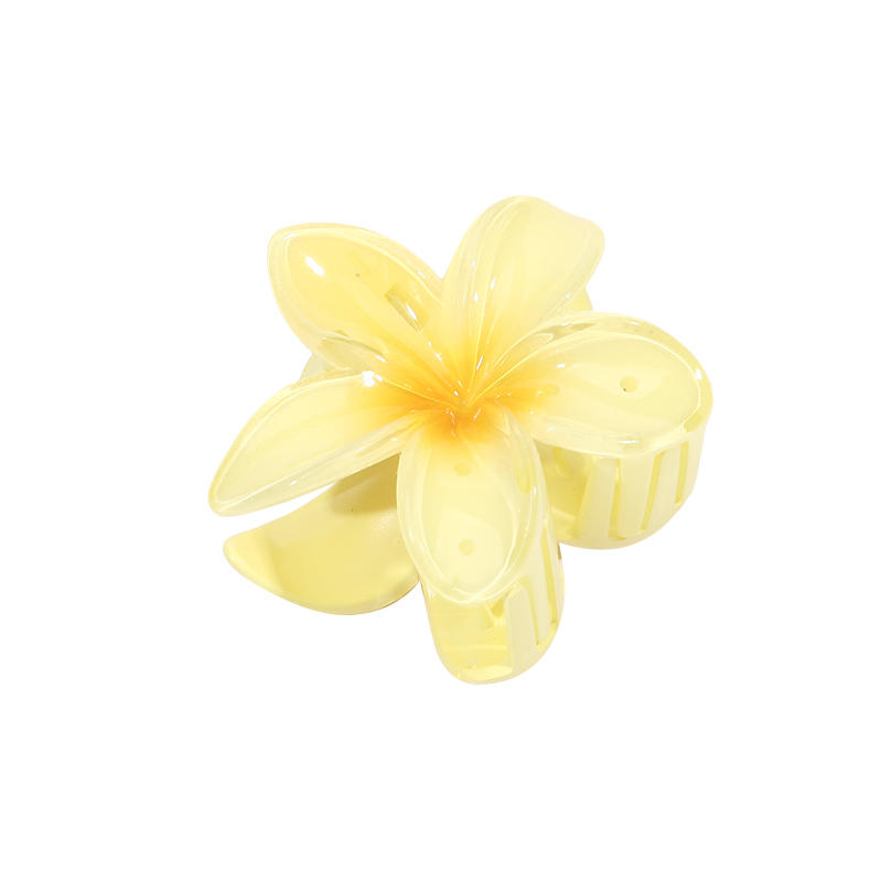 2/5Pcs Gradient Hair Clips New Flower Hair Claws Small Size Fashion Headwear Hairpin Crab Barrette Hair Accessories for Women