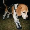 4PCS Warm Dog Cotton Shoes Reflective Anti-slip Dog Boots Wear Resistant Pet Paw Protectors  Winter