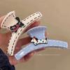 Wow Cat Puppy Hairpin Girl's Back of The Head Cute Summer Grappling Clip Shark Clip High-end Feel