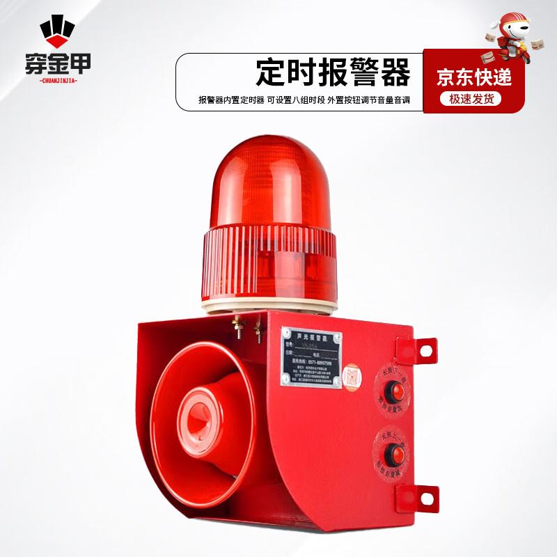 Chuan Jin Jia YS-01H-T Timed Sound & Light Alarm