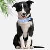 Waterproof PVC Dog Collar Soft Plastic Rubber Puppy Collar with Safety Buckle Adjustable Pet Collars for Small Medium Large Dogs