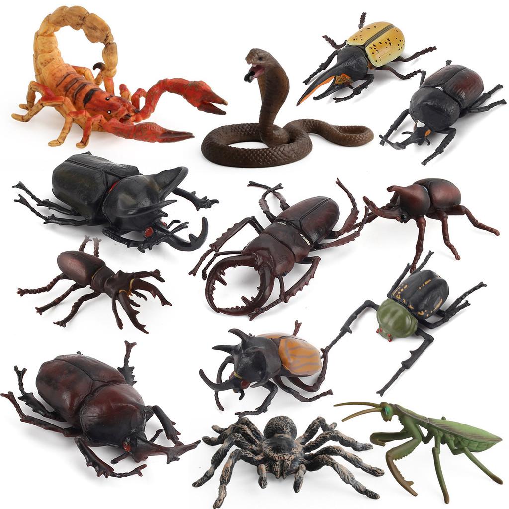 Allomyrina Dichotoma Scene Diorama Pvc Replicas With Educational Use For Home And Classroom Decor