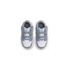 Jordan 1 Low Alt Td Vintage Grey DX5881-100