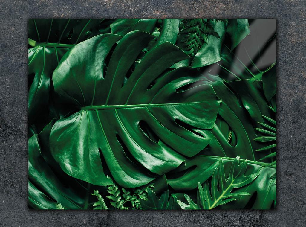 SZKLANA DESKA DO KROJENIA 52x40 MONSTERA