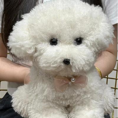 Roztomilá simulace Kudrnatý pes Bišonek Plyšová hračka Kawaii Skutečný život Plyšové hračky Dívka Narozeniny Přítelkyně Dárkové doplňky