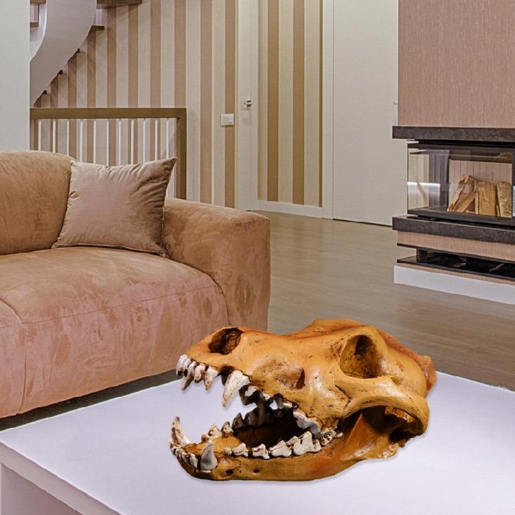 Artistic Wolf Skull Sculpture Resins Construction Animal Head Skeleton Replicas for Office Desk Decors Museums Display