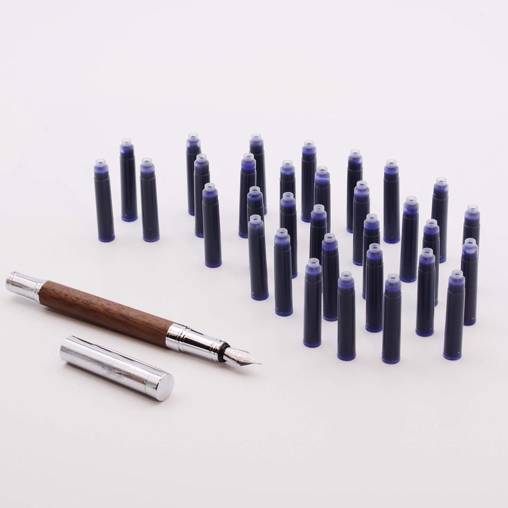 LACHIEVA LUX Fountain Pen Ink Cartridge Ink for Fountain Pens (32 cartridges, black)