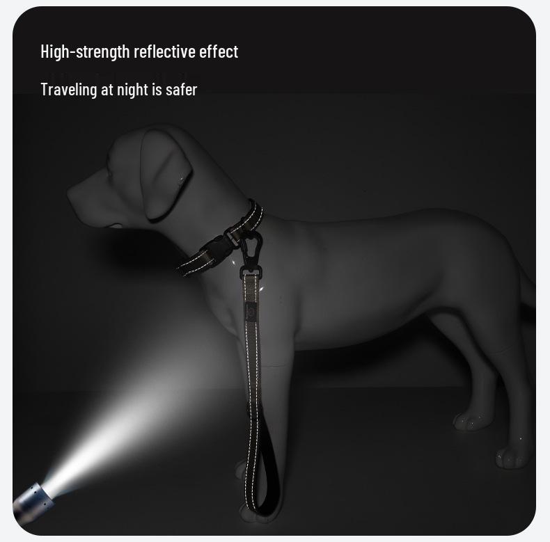Non-Choking Nylon Dog Training Leash for Medium & Large Dogs