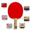Double Fish 9-Star Professional Table Tennis Racket