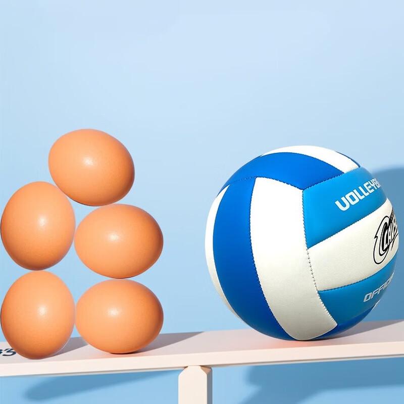 Soft Indoor/Beach Training Volleyball 2-Pack