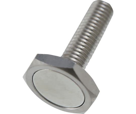 TRUSCO Magnetized Hexagonal Bolt Low Head Type M6X15