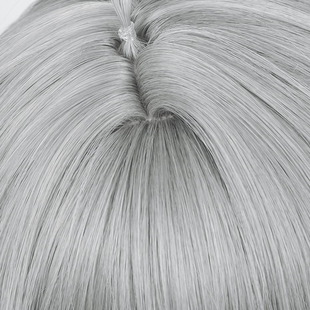 Alheizen Cosplay Costume Accessory for and Includes Wig Net Wig, Heat-Resistant, Halloween, Christmas, Parties,