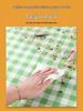 Outdoor Waterproof Double-Sided Picnic Mat – Portable, Moisture-Proof for Camping & Tent Use