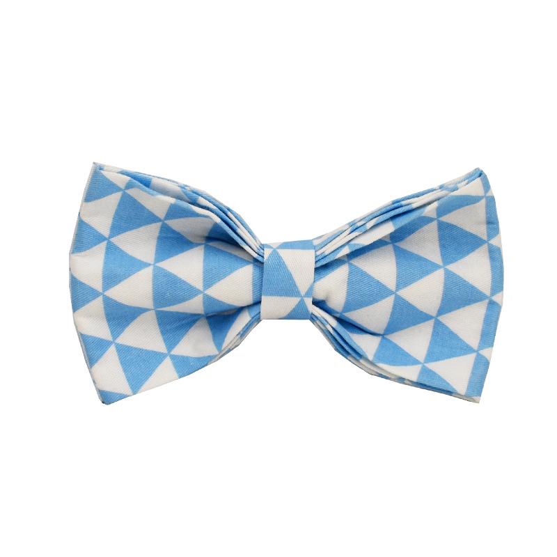 Blue Triangle Dog Collar and Leash with Engravable Tags