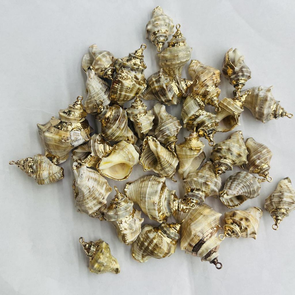 3Pcs, Natural Shell Conch Pendant, Ocean Style Irregular Charms for Jewelry Making DIY Necklace Accessories, Creative Home Decor Supplies