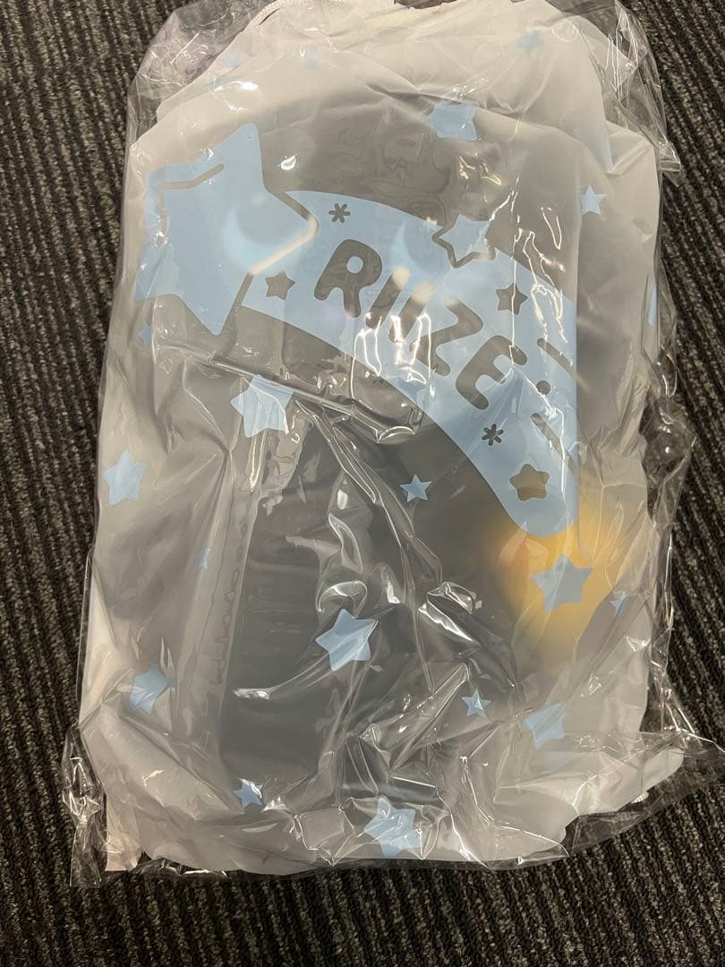 

[USED] RIIZE 40cm DOLL Tonyandoku Plush Toy Won Bin