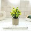 Birthday Gifts Artificial Green Plants Indoor Decorative Plants