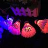 Luminous Shuttlecock Night Glow Windproof Goose Feather Colourful Led Glowing Badminton Ball for Outdoor Activities