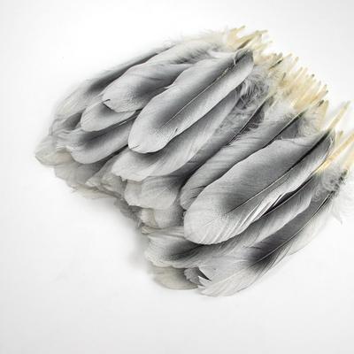 10 Stück Naturweiße Gänsefedern Gefärbte Bunte Bastelfedern Party Kostümzubehör DIY Kunstbedarf