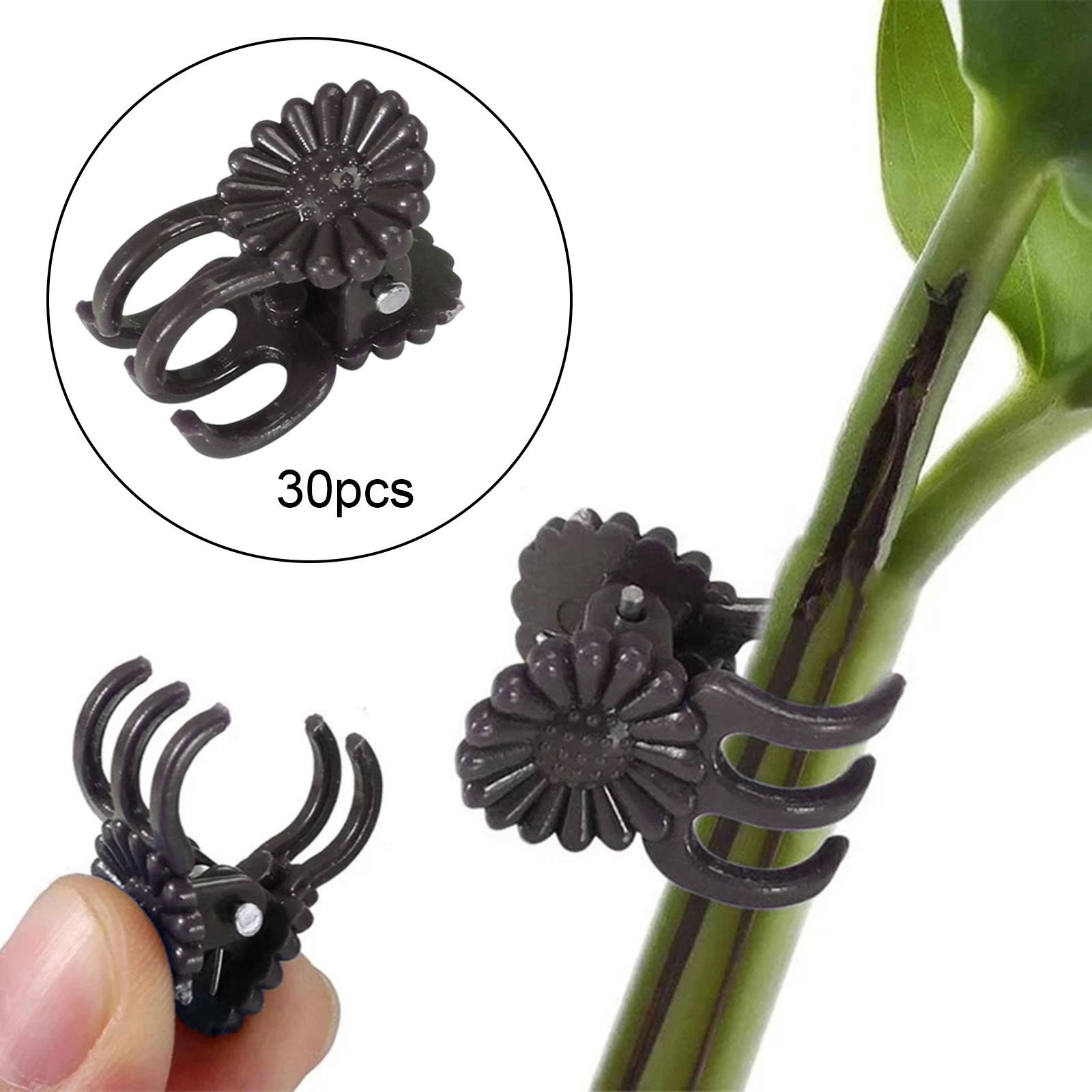 30 Pieces Vine Clamp Plant Support Butterfly Orchid Clips for Garden Orchids