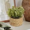 Green Artificial Plants Eucalyptus Grass Woven Small Potted Plants Grass Mound 11cm PE Material Home Decoration
