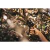 Fiskars Solid P121 Garden Pruning Shears - One-Handed 25cm