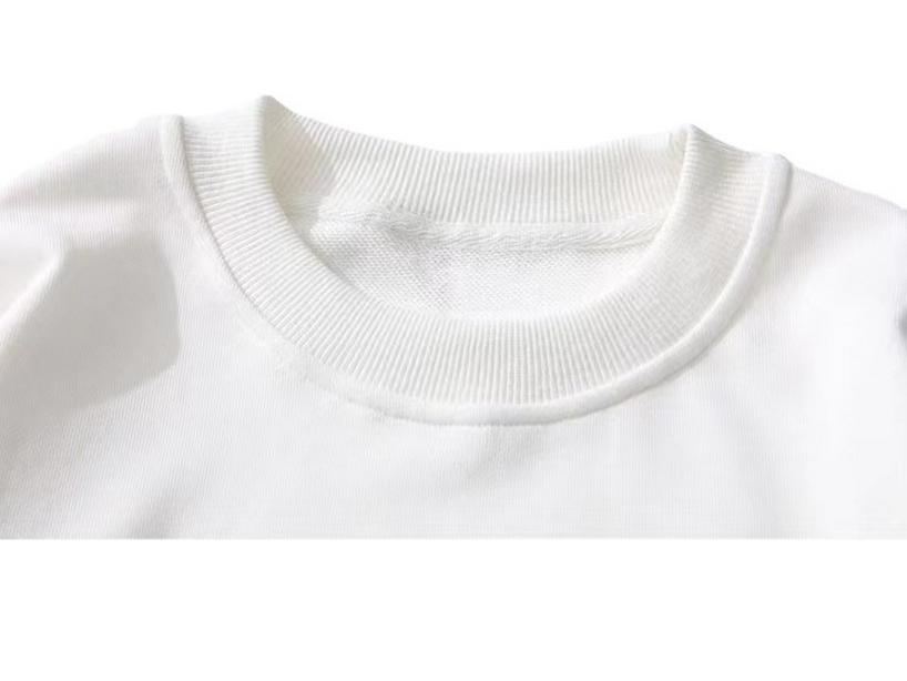 2022 Autumn/Winter Unisex Korean Style Loose Fit Terry Cotton Sweatshirt