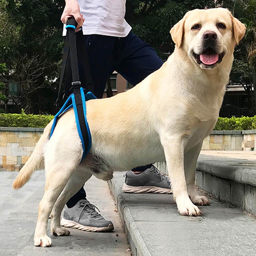 Portable Dog Sling Rope Dog Recovery Harnesses Comfortable Support Harnesses for Weak Rear Legs Walking Assistance