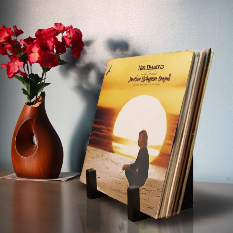 Metal Vinyl Black Records Holder Desktop Display Stand Storage Shelf Home Office Display For Vinyl Record Supplies