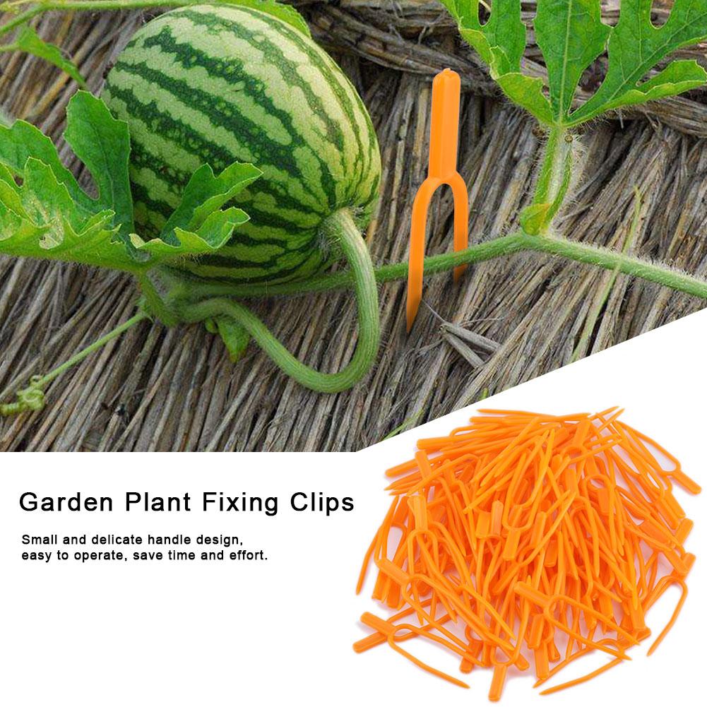 100Pcs Garden Plant Fixing Clips Resusable Stolon Melon Vines Securing Fixer Tool