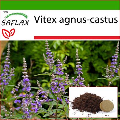 Papryka Mnicha - 30 nasion - Z podłożem doniczkowym dla lepszej uprawy - Vitex agnus-castus
