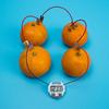 DIY Hausgemachte Frucht Bildungs Stromerzeugende Physik Experimentierkästen