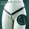 Dual Lock Chastity Underwear with Metal Dildo and Anal Plug