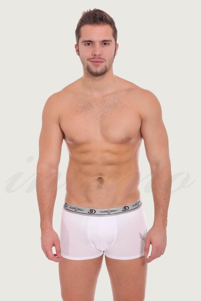 Jolidon-Boxer (22552)