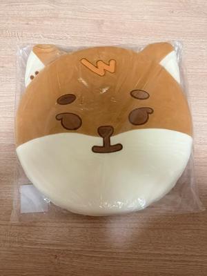 DEN 6 (Poka O/Neotevřeno) Použitý Ke Cushion